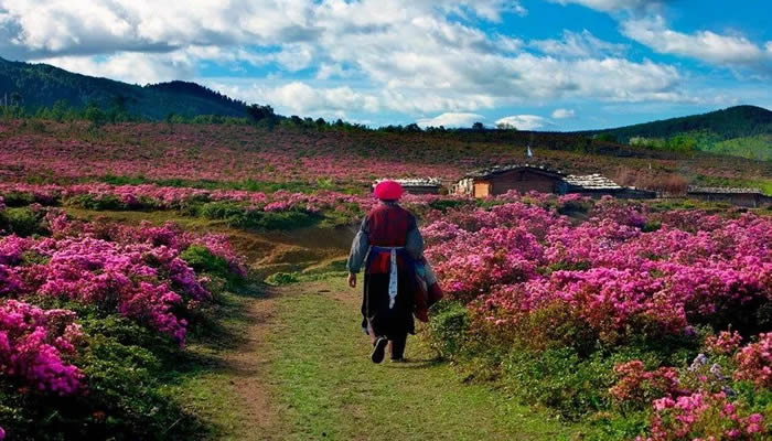 千湖山风景区